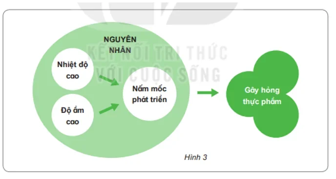 Tình Trạng Khan Hiếm Chip Nhớ Khiến Giá Thiết Bị Điện Tử Tăng Cao Trong Hai Năm Tới